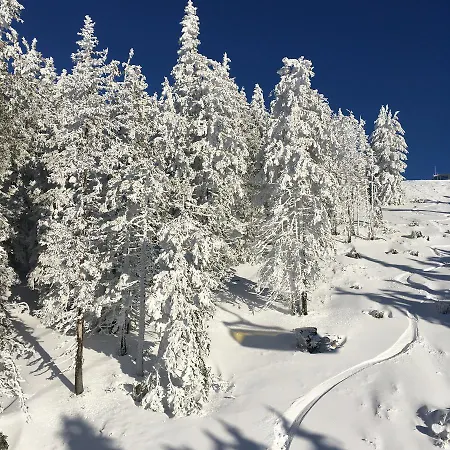 Impuls | Apart Gabriele Apartmán