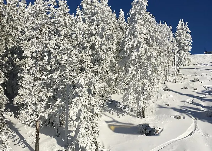 Impuls | Apart Gabriele Lejlighed