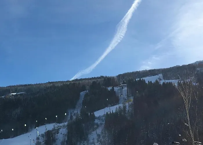 Impuls | Apart Gabriele Lejlighed